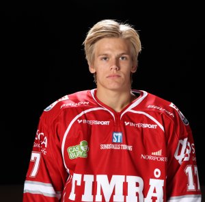 Anton Wedin